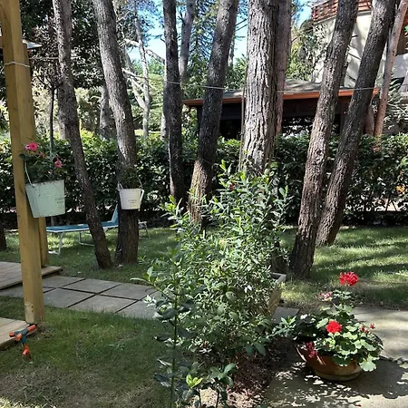 Seaside Garden Oasis * غوليم